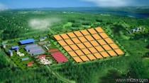 老撾甘蒙省彭下-農波礦區納拉礦